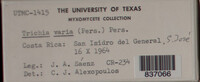 Image Associated With the Occurence